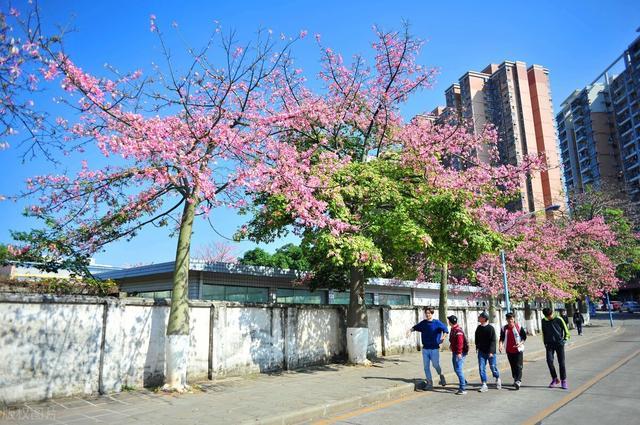 廣東23所大學(xué)上榜這份最新排名！深大第三，華師第十？廣外更后